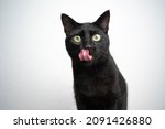 Hungry Black Cat With Tongue...