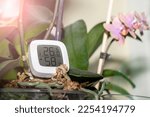 Small photo of measurement of humidity and temperature of houseplants. Thermometer-hygrometer on the background of a plant, sunlight, maintaining the temperature and humidity of the air necessary for indoor plants