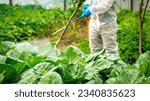 Small photo of a farmer in a protective white suit treats white cabbage with pesticides against diseases and pests, pest control and plant diseases to obtain a large harvest