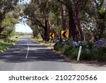 Little country road in Bunyip North, West Gippsland, rural Victoria, on a hot summer day.