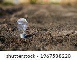 Small photo of Incandescent light bulb on the ground. Symbol of unwise use of natural resources.