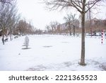 a city park meadow with snow in winter