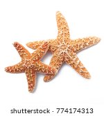 Two starfish on white background