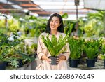 Small photo of Portrait of Happy Asian woman holding potted plant in front of plant shop street market on summer vacation. Attractive woman enjoy hobbies and leisure activity growing plant and flower at home.