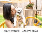 Asian woman playing with her pomeranian dog at pets friendly dog park cafe. Domestic dog with owner have fun urban outdoor lifestyle on summer holiday vacation. Pet Humanization or pet parents concept