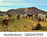 Monument Valley  Usa   Horses...
