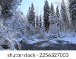Winter Landscape. Forest River. ...