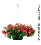 Hanging Basket With Impatiens...