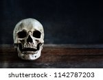 Halloween Human Skull On An Old ...