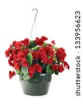 Hanging Basket With Begonias...