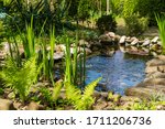 Small photo of Small garden pond with stone shores and many decorative evergreens. Selective focus. Evergreen spring landscape garden. In foreground ostrich fern. Nature concept for design.