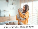Happy young asian woman hugging cute grey persian cat on couch in living room at home, Adorable domestic pet concept.