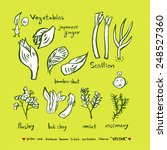 vegetable and fruit... | Shutterstock .eps vector #248527360