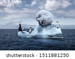 globally warming. climate change. the bear cries closing its face with its paws. polar bear, penguins and fur seal sits on a melting glacier in the middle of the ocean. ecological catastrophe
