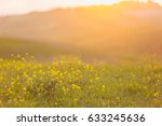 Blurred Image Of A Field With...