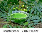 Small photo of Neem leaves's liquid ayurveda medicine. Neem oil on bowl. Neem medicinal herb juice in glass cup. Neem leaves, fruits on abstract background. Ayurvedic raw material.