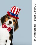 Small photo of Happy labor day from cute Beagle in Uncle Sam hat