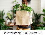 environmentally friendly bag... | Shutterstock . vector #2070889586