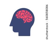 human head and brain vector... | Shutterstock .eps vector #560858086