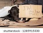 Small photo of Close-up shot of houseless dog and it's owner asking for help on the city sidewalk holding sign (saying I'm hungry)