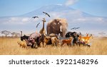 Group Of Many African Animals...