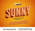 "sunny" vintage 3d premium rich ... | Shutterstock .eps vector #1020409246