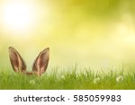 Easter Bunny Hiding In Meadow