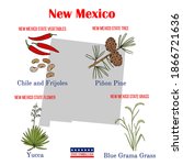 New Mexico. Set Of Usa Official ...