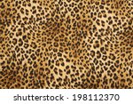 Wild animal pattern background...