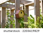 Natural wooden birdhouses in a...