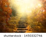 Autumn Backdrop Stairs Sky....