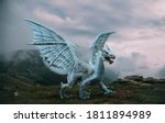 Fantasy Dragon Stands On The...