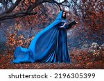 Small photo of Fantasy Woman witch holds magic book in hands reads spell. Blue vintage clothes silk cape dress flies in wind. Mystery girl elf in hood. Nature autumn forest trees orange leaves. Holiday halloween