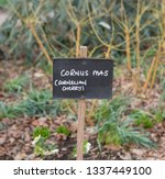 Botanical Identification Sign...