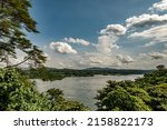 Nature in Uganda at the river Nile, Source of the Nile