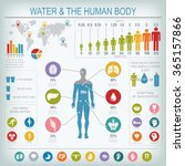 water and human body... | Shutterstock .eps vector #365157866
