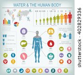 water and human body... | Shutterstock . vector #402829336