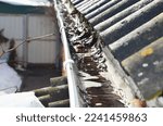 Small photo of Spring roof gutter cleaning. A clogged rain gutter of an asbestos roof with non flowing water from melted snow because of unclean gutters with dirt and fallen leaves.