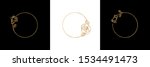 set rose flower gold frame... | Shutterstock .eps vector #1534491473