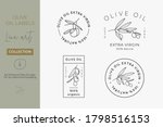 olive oil label set in a trendy ... | Shutterstock .eps vector #1798516153