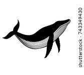 Wector Illustration With Whale.