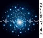 polygonal human heart in low... | Shutterstock .eps vector #1029028303