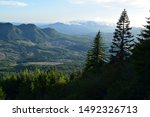 Deforestation as seen from Saddle Mountain in the Oregon Coast Range
