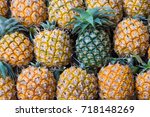 Many Fresh Pineapples Are Lined ...