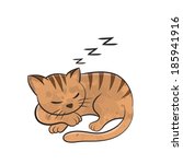 Cat Sleep Cartoon   Vector