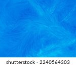 Small photo of Beautiful abstract blue feathers on white background, black feather texture and blue background, feather wallpaper, blue texture banners, love theme, valentines day, light blue texture gradient