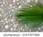 Green Palm Leaf On Beach Sand...