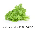 Fresh green lettuce salad...