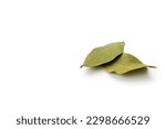 Dry bay leaves isolated on white background. copy space