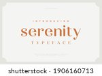 classic typography elegant.... | Shutterstock .eps vector #1906160713